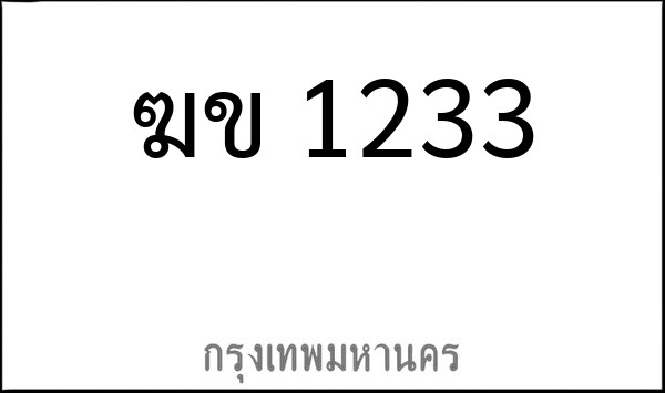 ทะเบียนรถยนต์ ฆข 1233